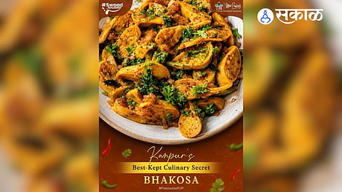 Bhokasa