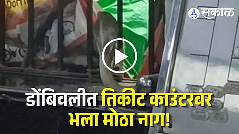 Cobra Snake Found At Dombivli Station