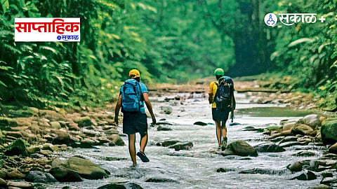 Sahyadri Monsoon Travel 