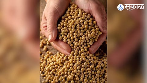 Soybean seed scam maharashtra