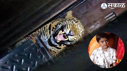 Shirur Leopard Attack