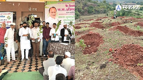 The initiative by Gram Panchayat Retwadi and 14 Trees Foundation includes five years of post-plantation maintenance to ensure better survival of the trees.