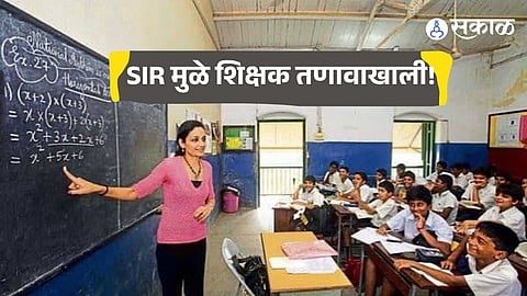 Teacher organisations have demanded full-time exemption from SIR duties to prevent academic loss for students.