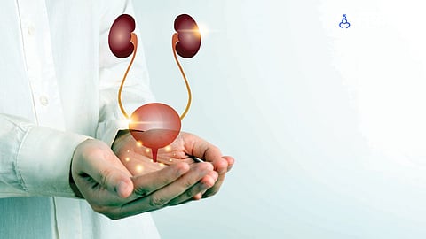 The article presents Ayurvedic perspectives on kidney care and emphasizes preventive health measures alongside appropriate medical consultation.