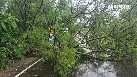 Local officials and villagers cleared the road within 30 minutes, restoring normal traffic without any casualties.