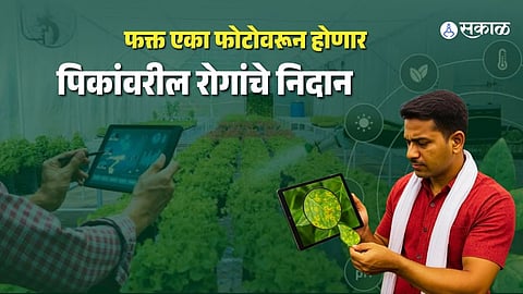 AI crop disease diagnosis app
