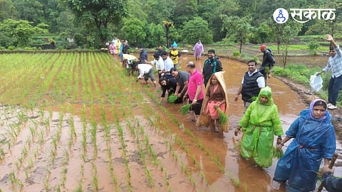 Collector Joins Farmers
