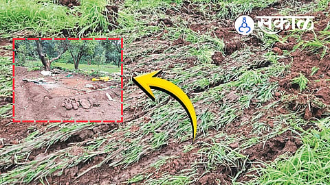 Forest Department action in Dhangarwadi Kolhapur
