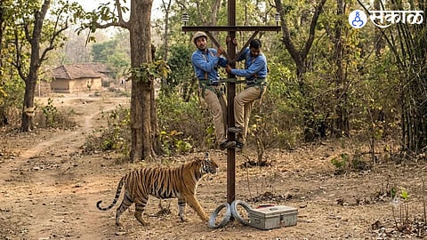 Chandrapur