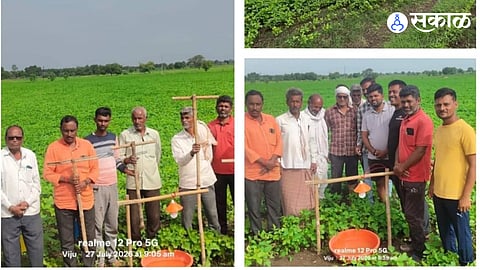 Nandivardhan farmer group collective farming success story in Chainpur Deglur with integrated pest management