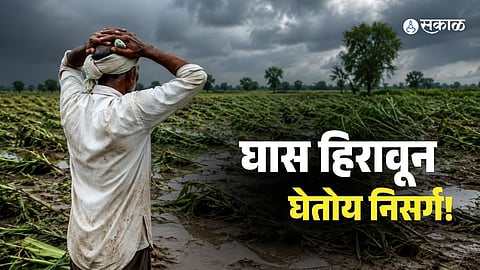 Natural Disaster Impact on Agriculture 2025-26