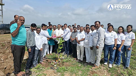 Kasari Tree Plantation