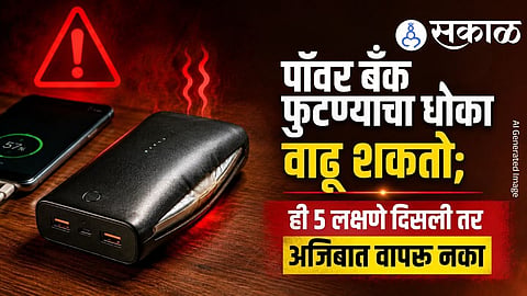 What are the main signs of a damaged power bank