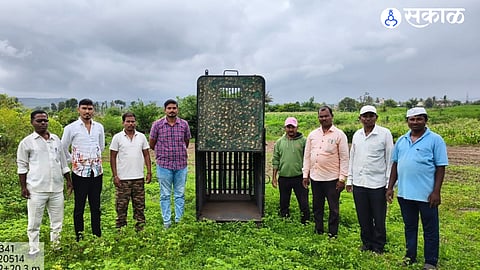 leopard attacks two bike riders in one day at avsari budruk ambegaon veterinary officer escapes forest department installs cage
