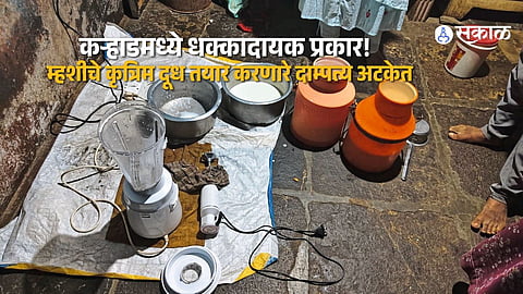 Artificial Buffalo Milk Case Couple Arrested in Karad Following Food and Drug Administration Action