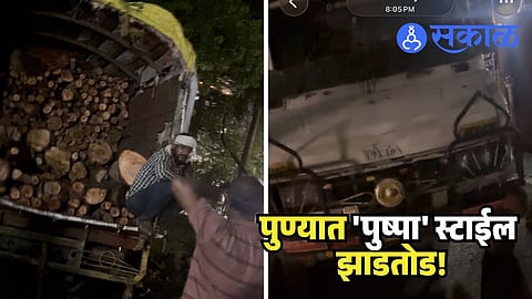 Pune Tree Cut
