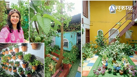 home gardening benefits dr vrunda kulkarni mini amazon 500 plants vertical garden organic gardening mental health stress relief