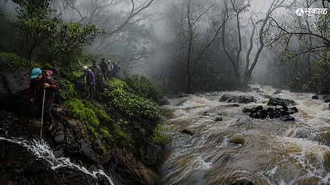  The Untold Story of the Lonavala to Bhimashankar Monsoon Trek