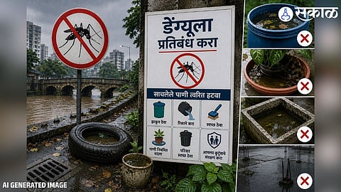 Pune Dengue Cases Rise