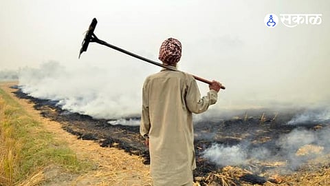 Rabi Stubble Burning Study