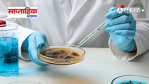 Stool Test Diagnosis