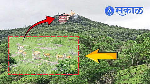 Best places to visit in Kadegaon during monsoon