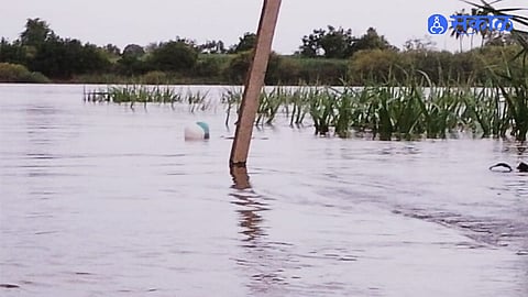 Maharashtra Flood Update Ujani Dam Nearly Full Bhima River Flood Risk Grows In Pandharpur And Nearby Talukas