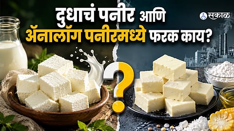 Maharashtra analog paneer ban explained