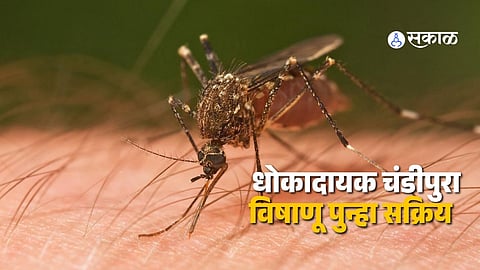 Symptoms of Chandipura Virus in Children