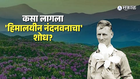 Uttarakhand Valley of Flowers Trek Begins Explore the Story Behind the Discovery of the Himalayan Floral Wonderland