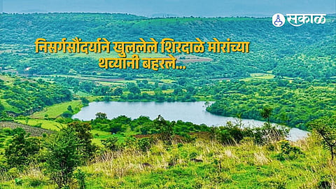 Shirdale Nature Tourism Grows as Large Peacock Flocks and Lush Greenery Attract Nature Lovers During Monsoon Season
