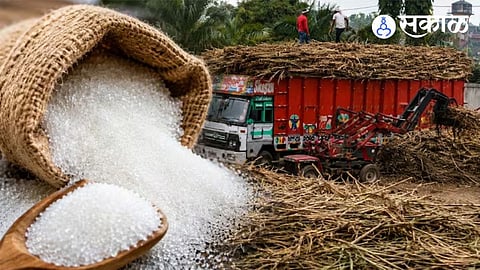 sugar and sugarcane rate