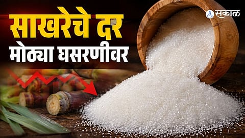 Sugar prices are expected to decline as imports and domestic supply increase ahead of the festive season