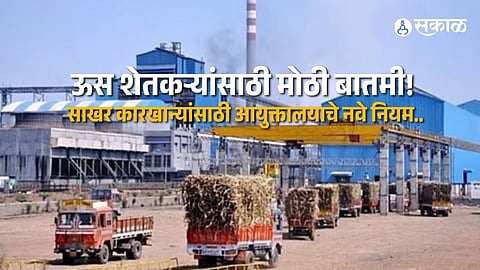 Sugarcane Farmers Get Relief As Sugar Mills Must Clear FRP And RSF Dues Before Getting Crushing Season License