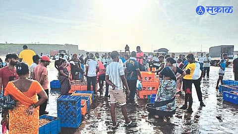 Harnai Fishing Crisis