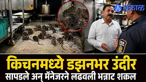 Dozens of Rats in a Restaurant Kitchen and One Bizarre Excuse; Tukaram Mundhe Shares Viral Incident