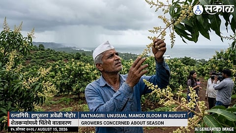 Ratnagiri Hapus Mango