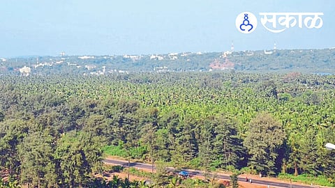Bhatye coconut research centre Maharashtra