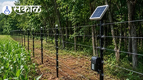 solar fencing subsidy online application Maharashtra