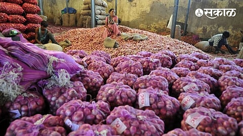 Lasalgaon Onion Price