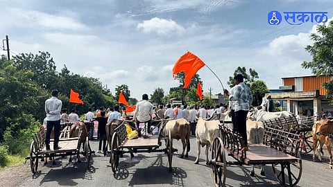 Manoj Jarange Movement Gets Support In Sillod As Maratha Community Holds Road Blockade With Bullock Carts And Cattle