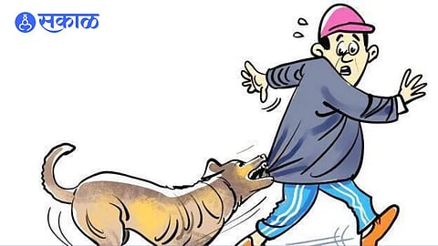 stray dog attack