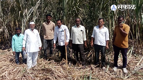 Second sugarcane fire in a week hits Vihamandwa farmers.