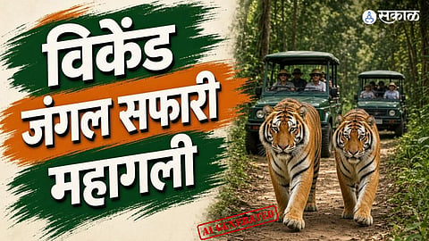 weekend jungle safari