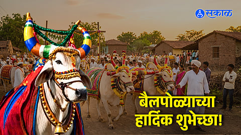 Bail Pola 2026 Celebration: Meaning, Puran Poli Offerings, and Procession Rituals