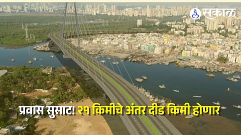 cable-stayed bridge 