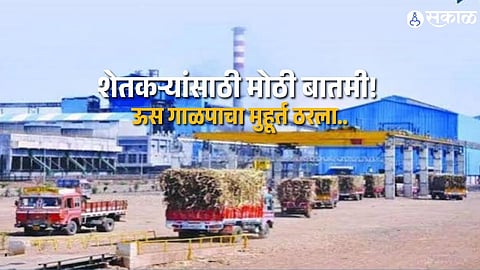 Sugarcane Crushing in Maharashtra to Start October 15 2026 27 Season Date Announced by State Government