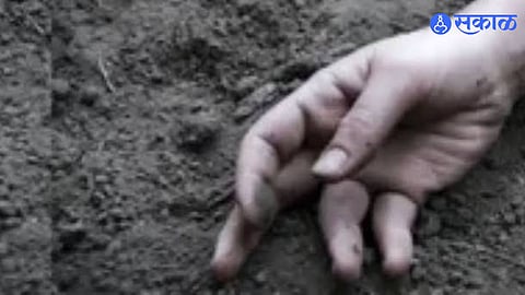 Maharashtra Snake Bite Tragedy Brother Dies Sister Critical After Snake Bite Incident Leaves Wagholi Village in Shock