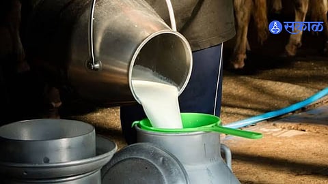 Devlai Property Fraud Plot Sold Without Name On Satbara Record Dairy Businessman Suffers Three Lakh Loss