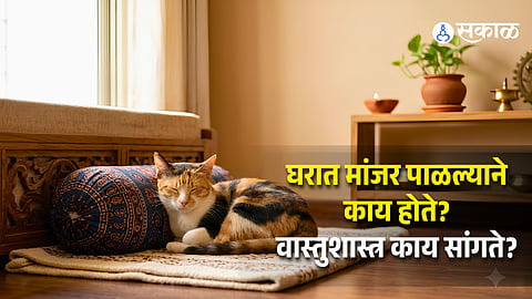 Vastu Shastra Guide to Pets: How Keeping a Cat Impacts Your Home's Harmony